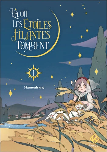 Là où les étoiles filantes tombent cover